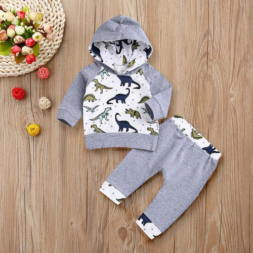 Dinosaur Hooded Tops & Pullover Pants Outfit